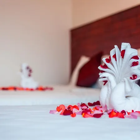 Gia Phat Homestay Hoi An Exterior photo
